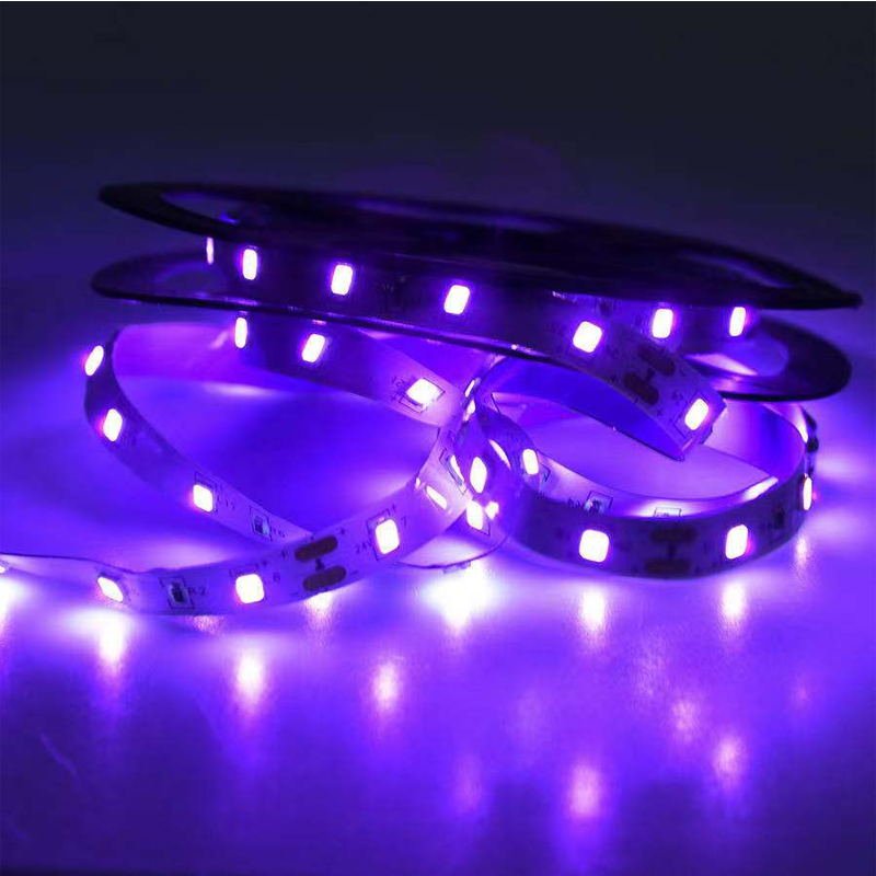 UV LED 자외선, 블랙 UV 램프, SMD 5050 - Uv Led Lamp Nail 리뷰 및 가격