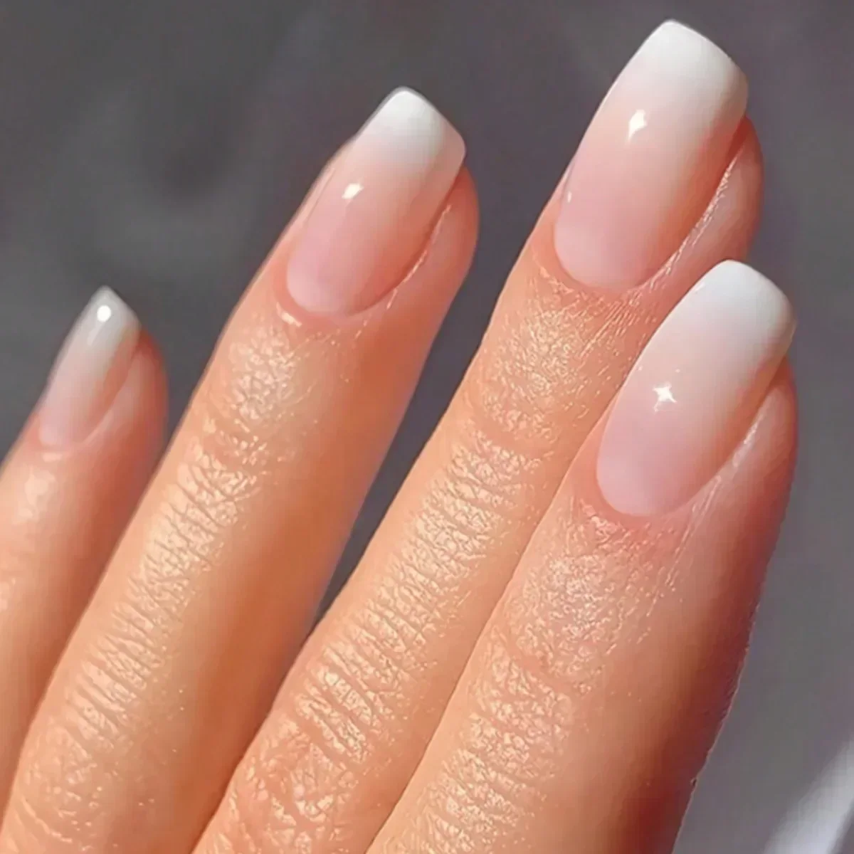 24pc 손톱에 누르기 블랙 그라디언트 발레 틀린 손톱 - Nail Art French 리뷰 및 가격