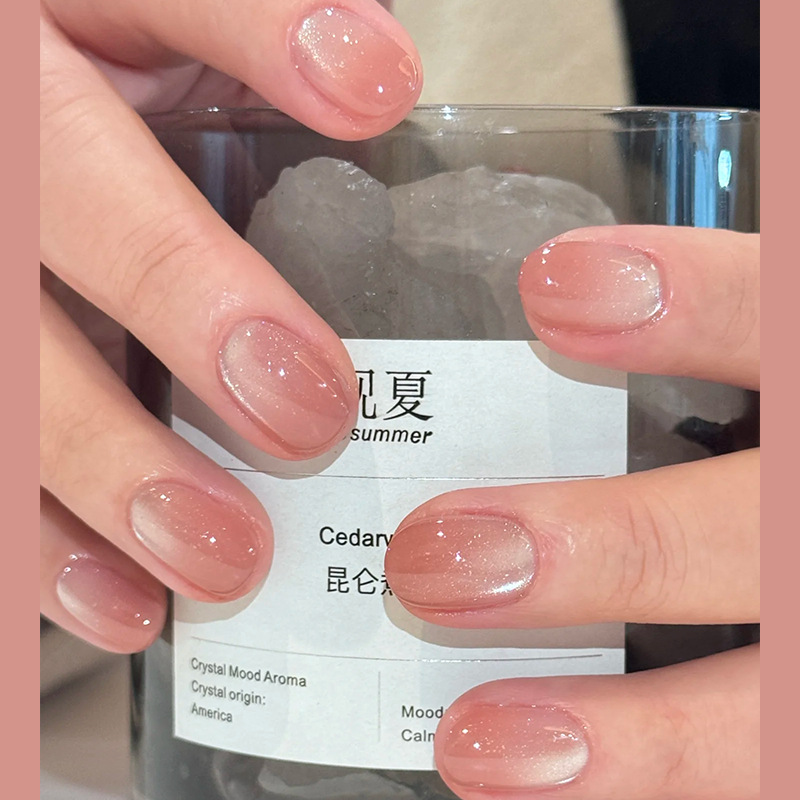 24개 짧은 스퀘어 프레스온 네일 블랙 블루 옴브레 캣 - Nail Art Ombre Glitter 리뷰 및 가격
